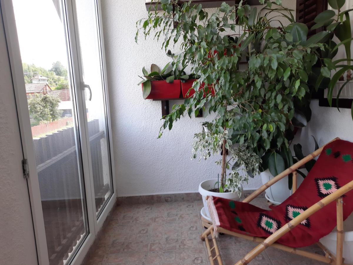 Antal Apartmans Lunca De Sus Kulcsoshaz Gyimesfelsolok מראה חיצוני תמונה
