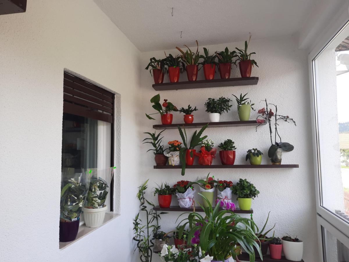 Antal Apartmans Lunca De Sus Kulcsoshaz Gyimesfelsolok מראה חיצוני תמונה