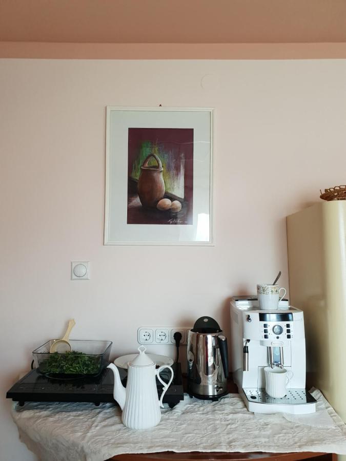 Antal Apartmans Lunca De Sus Kulcsoshaz Gyimesfelsolok מראה חיצוני תמונה